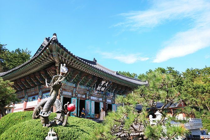 Small Group Tour of Busan Highlights by licensed tour guide - Final Thoughts: Who is This Tour Best For?