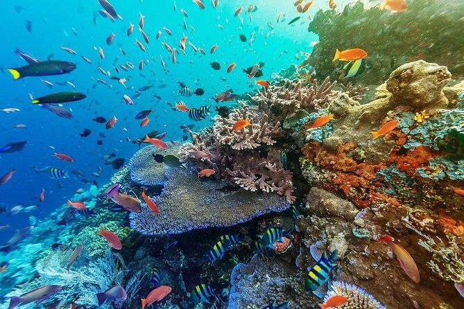 Snorkeling Adventure with East Nusa Penida Tour All Inclusive - Sanur to Nusa Penida: Starting Point