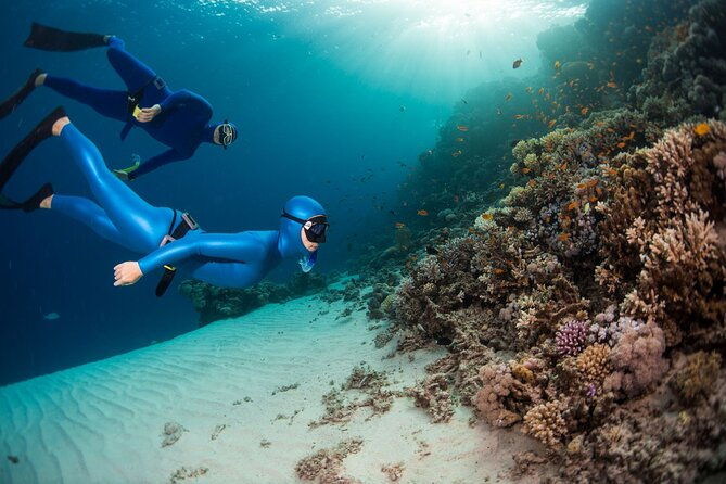 Snorkeling and Freediving Trip around Nusa Penida - Who Should Consider This Tour?