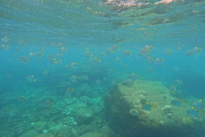 Snorkeling at Angel Rock - Practical Details and Considerations
