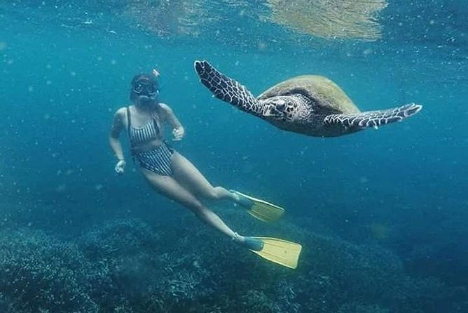 Snorkeling at Pigeon Island - The Return and Extra Costs