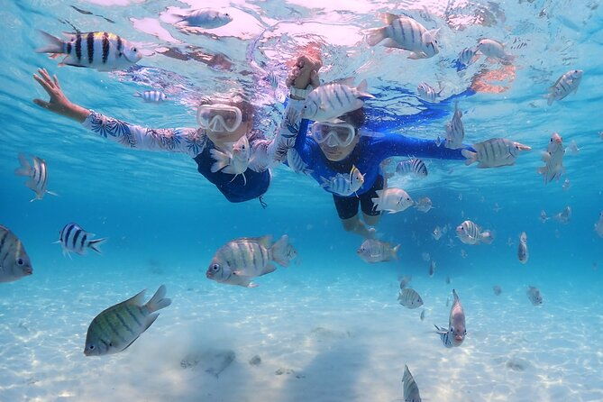 Snorkeling Blue Lagoon with lunch & waterfall - Authentic Experience and Real Insights