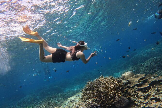 Snorkeling Day Trip to Nusa Lembongan and Nusa Penida - The Value of This Experience