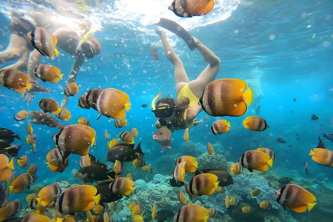 Snorkeling In Nusa Penida Departing From Bali Island - What Makes This Tour Stand Out?