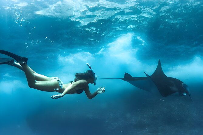 Snorkeling In Nusa Penida Island With Manta Ray From Bali - Return Journey and Overall Logistics