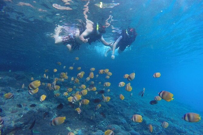 Snorkeling Manta Bay And West Penida Private Guided Tour - Landmarks and Iconic Photo Spots