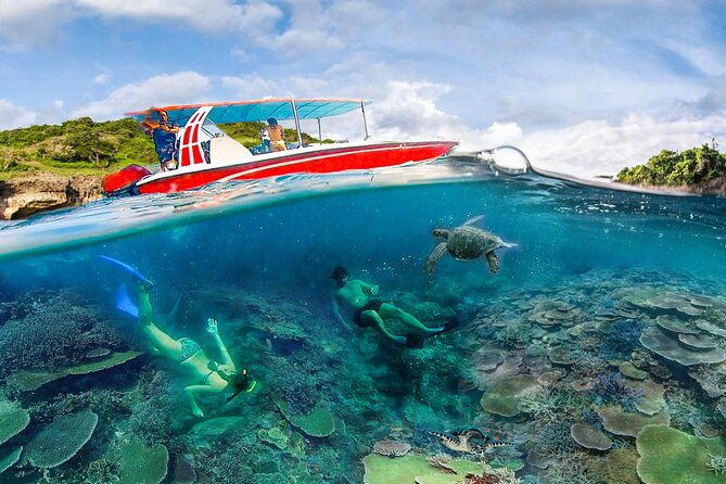 Snorkeling Manta Ray Safari in Nusa Penida - The Experience: What Will You Really Encounter?