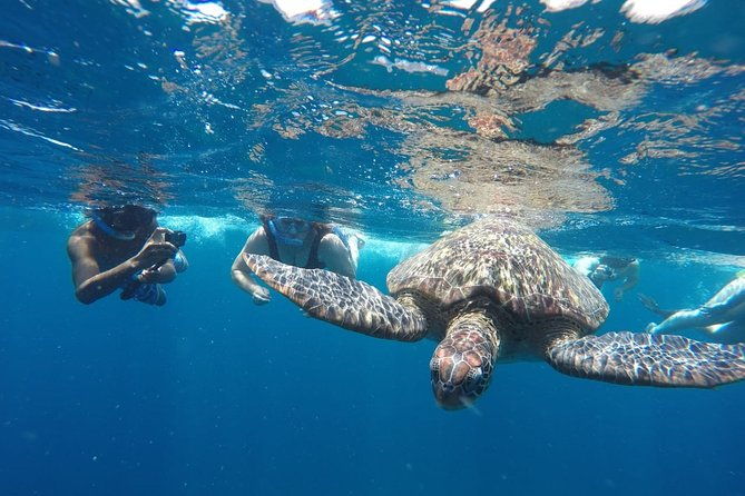 Snorkeling Tour In Gili Islands Pick Up From Lombok Or Gili - Detailed Breakdown of the Itinerary