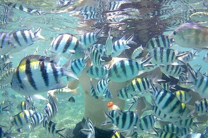 Snorkeling Tour In Gili Nanggu - Whats Included and Whats Not?