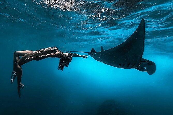 Snorkeling with Manta Rays in Nusa Penida Experience (All-Inclusive) - Practical Tips for Your Tour