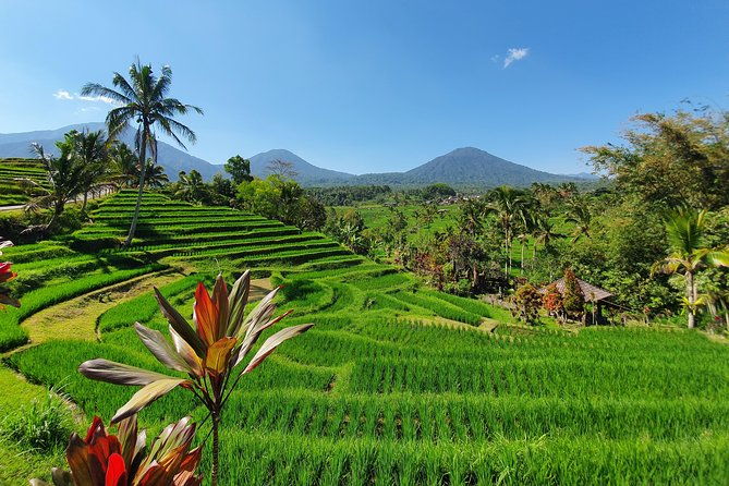 Solo or Group Tour - 10 Hours, 5 Persons Max - Why This Tour Offers Great Value