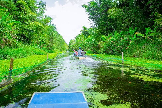 Southern Forest Tour  Explore Hau Giang Nature - Practical Aspects: What Travelers Should Know