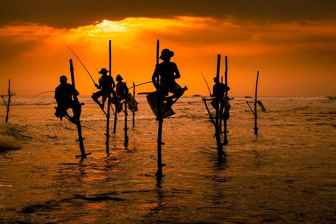 Southern Sri Lanka Sightseeing Day Trip From Colombo & Negombo - How the Itinerary Comes Together