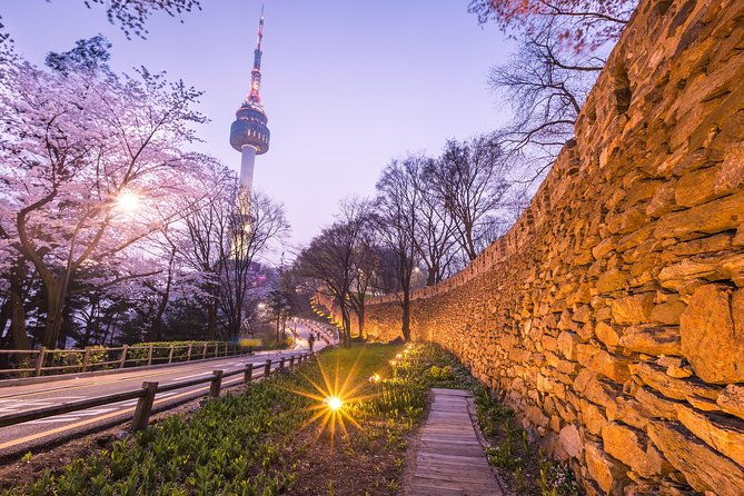 Special City Night Tour - What Travelers Say: Authentic Insights