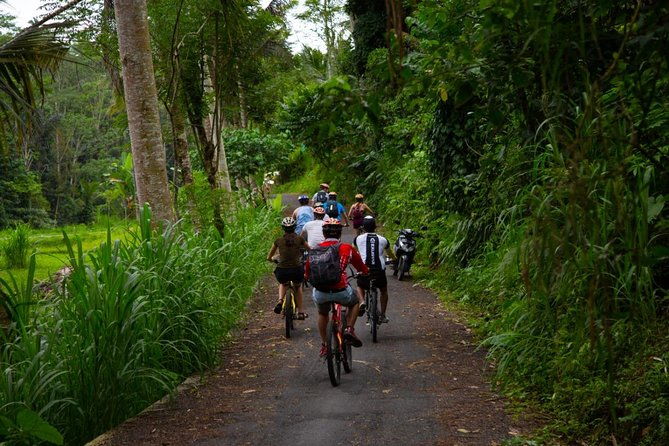 Spiritual Journey with private purification ceremony, local priest - Ubud - Authentic Insights from Reviewers