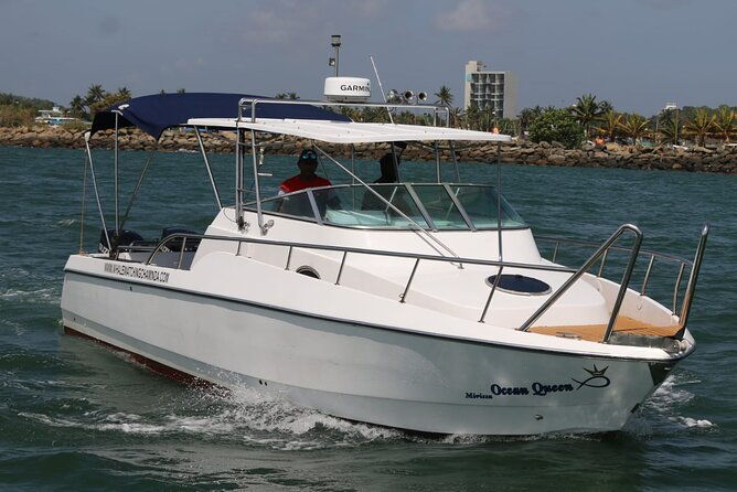 Sports Boat- Private Whale Watching Trip( free breakfast & paid pick-up) - Value for Money: Is It Worth the Cost?