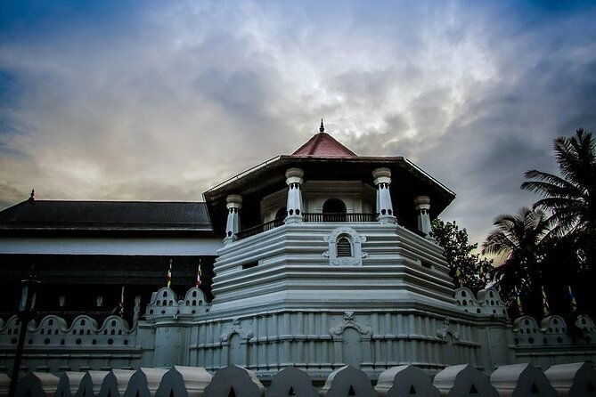 Sri Lanka 5-Day Private Car Hire with Driver-Guide - Why Choose the 5-Day Private Car Hire with Driver-Guide?