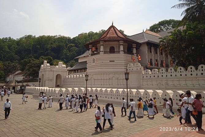 Sri Lanka 8 days Tours with Privet Vehicle & Accommodations (B/B) - Why This Tour Offers Great Value