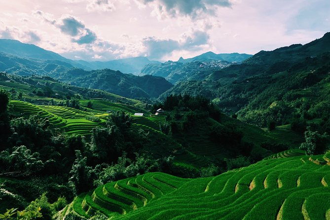 Stunning Terraced Rice Fields on 2-Day Trekking - Authentic Insights from Reviews