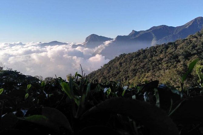 Sunrise Tour in Top Station, Munnar ( By Munnar Info) - A Deep Dive into the Experience