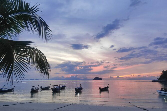 Sunrise yoga class overlooking the beach, the sea & sunrise . - Who Should Do This Tour?