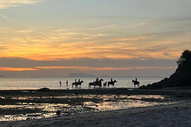 Sunset Beach Horseback Ride Phuket - Honest Insights from Reviewers