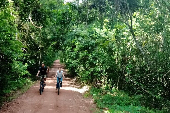 Sunset or sunrise bicycle tour around Angkor Wat and nearby temples - Real Traveler Insights