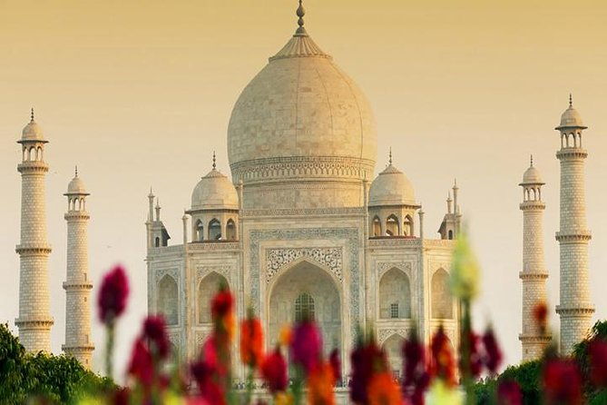 Taj Mahal & Agra Private Day Tour from Delhi - Why This Tour Excels for Travelers
