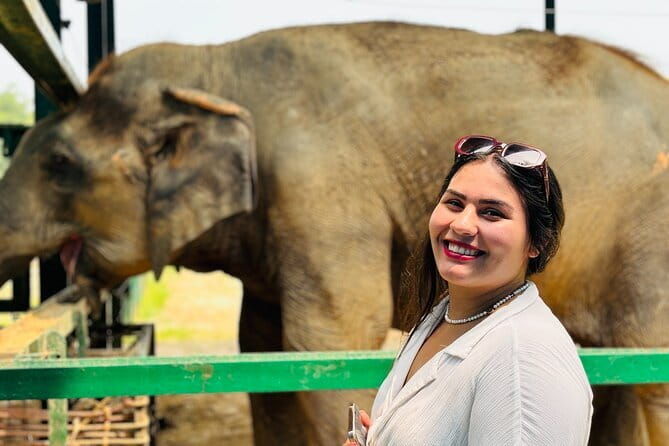 Taj Mahal Day Tour with Elephant from Delhi by Superfast Train - The Value of This Tour