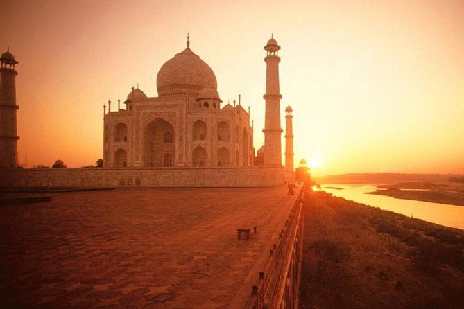Taj mahal tour with SOS Elephant/Bear wildlife Sanctuary - A Deep Dive Into the Experience
