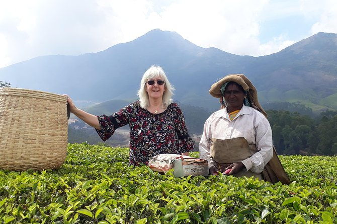 Tea Farm Tourism - Why This Tour Works for Travelers