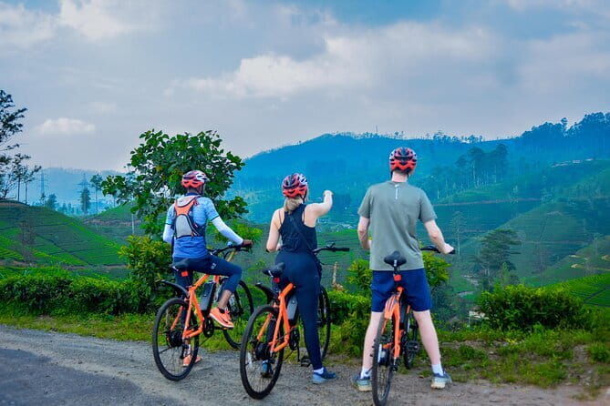 Tea Loops E-Biking - Who Will Love This Tour?