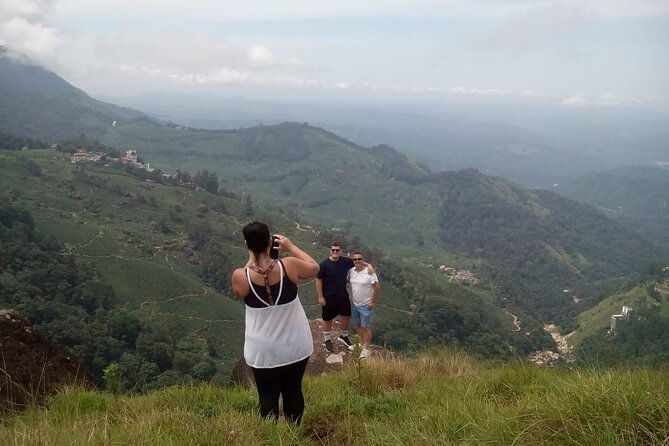 Tea Plantation, Grass Land and Mountain Hiking in Munnar - The Shola Forest and Bird Watching