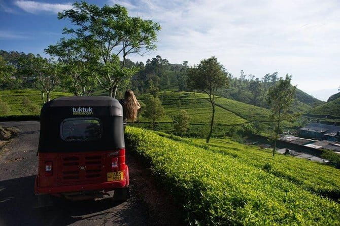 Tea Tasting in Nuwara Eliya - Practical Details and Value