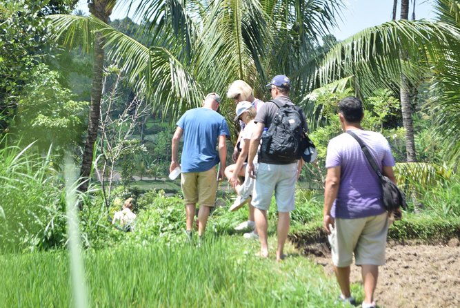 Tetebatu Walking Tour - Rice Terraces, Waterfall & Monkey Forest - Who Would Love This Tour?