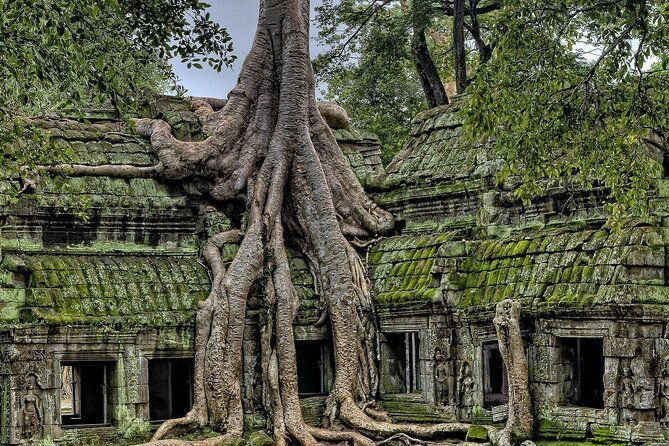 The Angkor Temples from Sunrise by Tuk Tuk - Who Should Book This Tour?