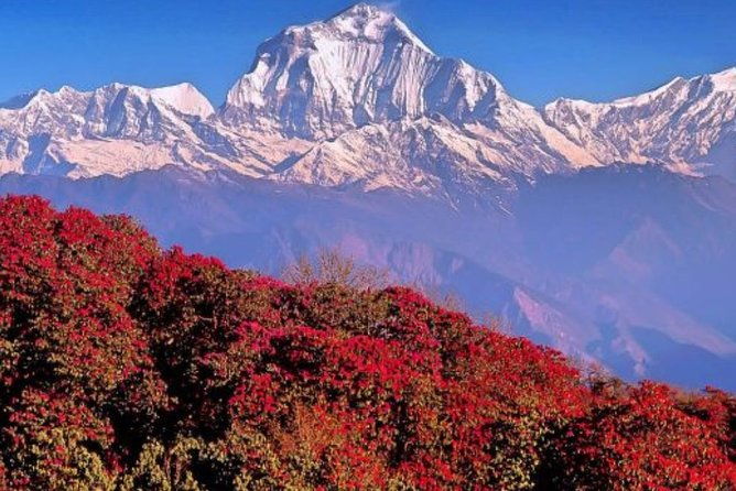 The Best of Nepal : 5-Day Trek to Ghorepani Poon Hill & Ghandruk - Practical Details and Tips