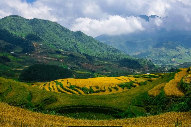 The best view and most authentic tour in Sapa (Non Touristy) - What Makes This Tour Stand Out?