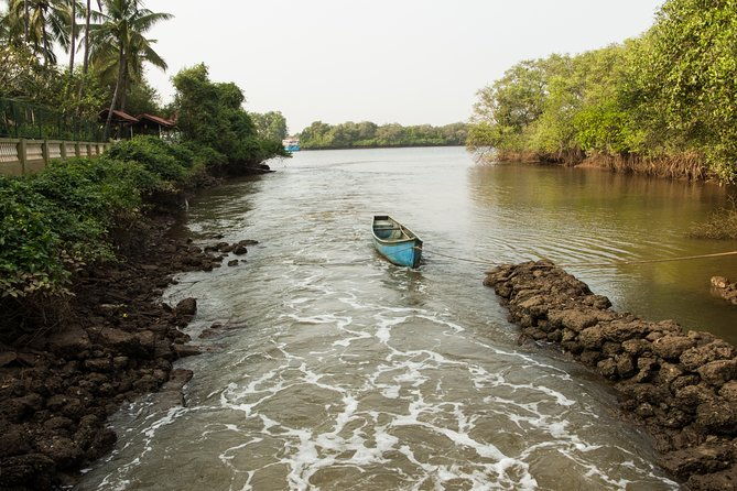 The Divar Island Exploration - Why This Tour Will Impress You