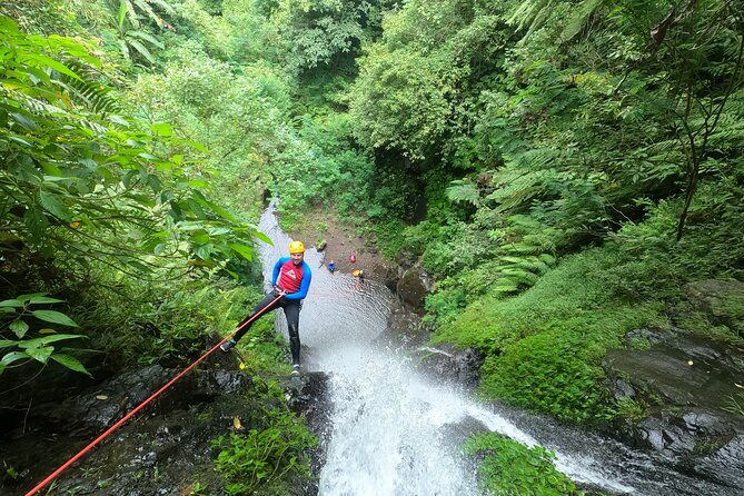 The Natural Canyoning in Alam Canyon - How the Tour Stands Out in Value  