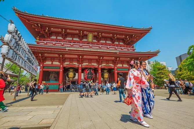 Tokyo Private Chauffeur Tour - Fully Guided - What Makes This Tour Stand Out
