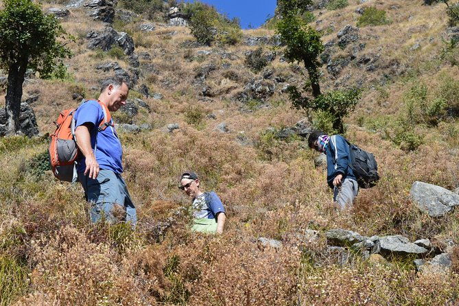 Top Tibba Day Hike and Dhanaulti Visit - Planning Your Day: What to Expect