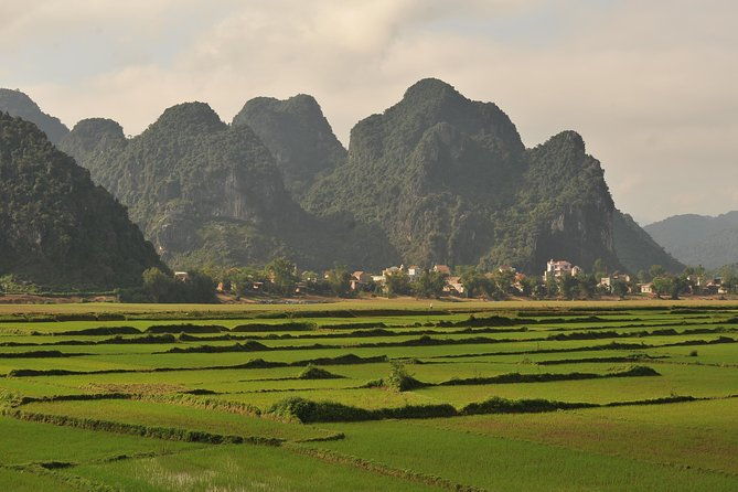 Tour to the caves ONE DAY tour to Phong Nha and Paradise caves - What Could Be Better?