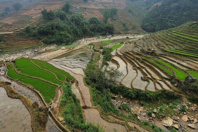 Tours_Sapa_Sapa Trekking Experience Trekking Through Terraced Rice Fields_D50492 250466P141 Review - The Sum Up: Who Should Consider This Tour?