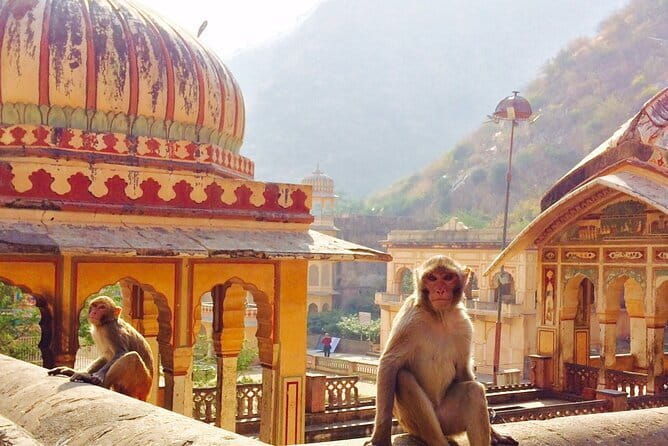 Travel Through the Streets of Jaipur by Tuktuk with a Local - FAQ