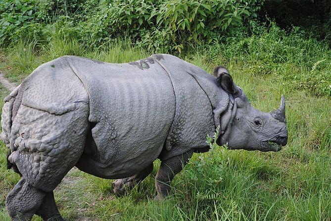 Travel to Nepal 10 days to explore the Culture and Best Views - Who Should Book This Tour?