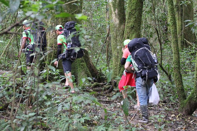 Trek On Langbian Mountain - Who Is This Tour Best Suited For?
