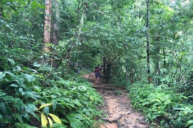 Trekking at the Monk Trail and Doi Suthep Temple Private Tour - The Practical Side: Pricing, Duration, and Value