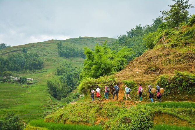 Trekking Through Rice Terraced Fields - 1Day - Practical Details and Tips