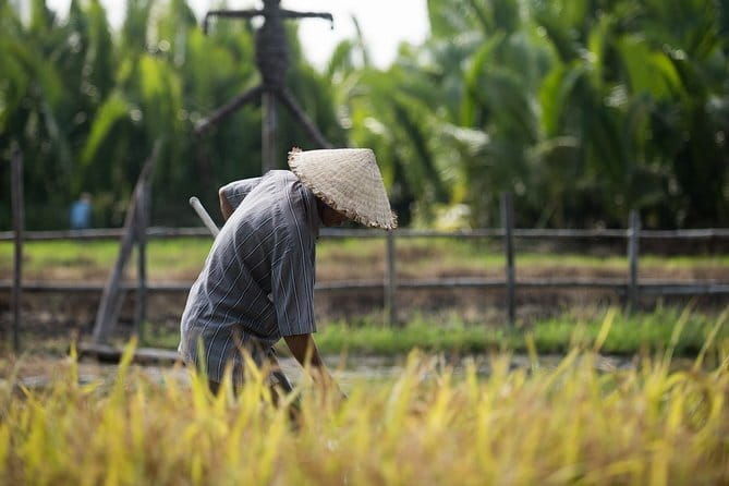 Tributaries and Rice: My Tho meets the Mekong - What Makes This Tour Stand Out?